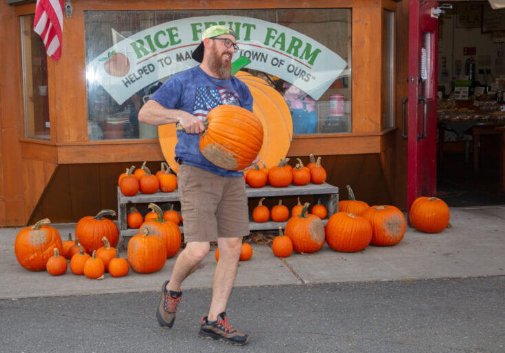 big pumpkin